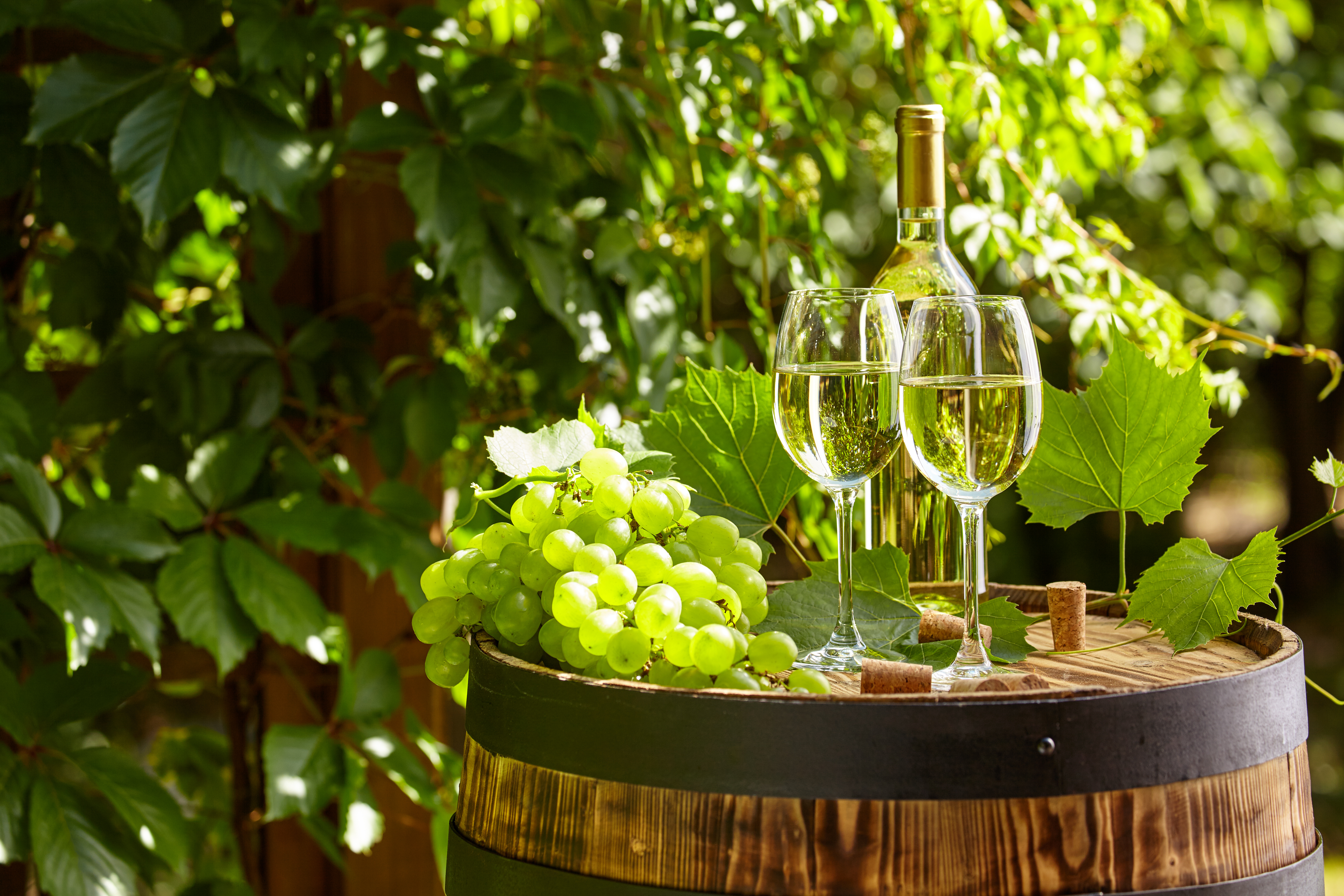 Grapes and Wine Glass